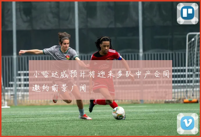 小哈达威预计将迎来多队中产合同邀约前景广阔