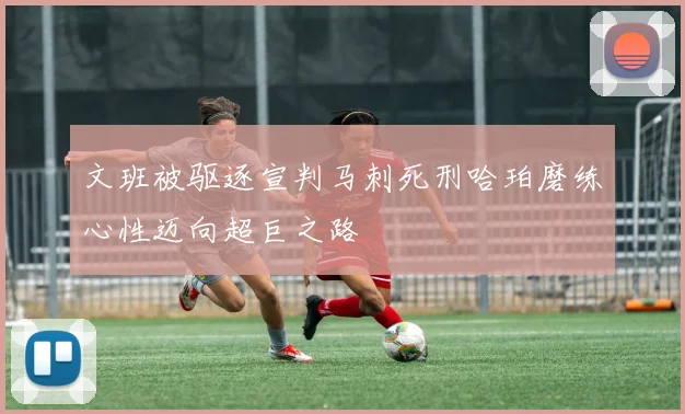 文班被驱逐宣判马刺死刑哈珀磨练心性迈向超巨之路